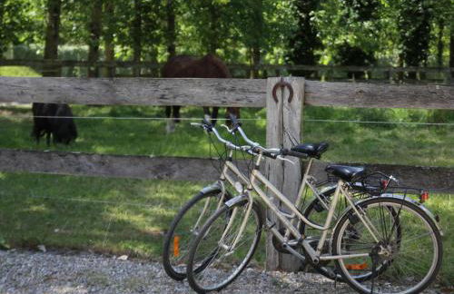 Quend-Plage Apartment with Pool - Foto 16