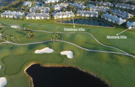 GreenLinks Golf View Villa Mustang at Lely Resort - Foto 41