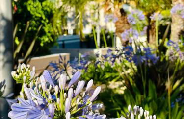 Jardines de Denia 24 - Foto 34