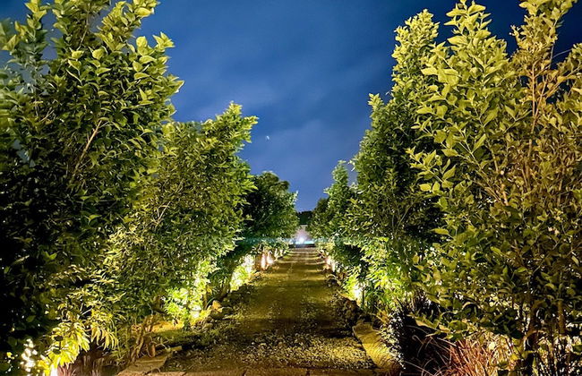 Amã Stays & Trails The Deck, Girnar Forest, Junagarh - Foto 49