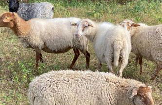 Apartment Taunustraum by Interhome - Foto 34