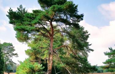 Mamat Ferienwohnungen - Foto 16