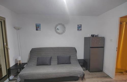 Charmant studio calme bord de mer Wifi-NESPRESSO-DRAPS-LINGE DE BAIN - Foto 19