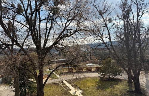 Schloss Zingst - Foto 55