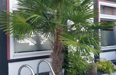 Ferienwohnung am Rathaus - Foto 23