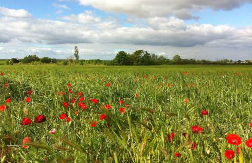 Le Petit Viala - Foto 29