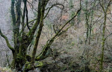 La casita de Olivia Espinaredo - Foto 70