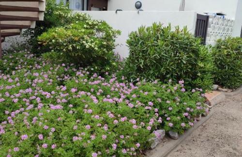 L'équinoxe - Foto 19