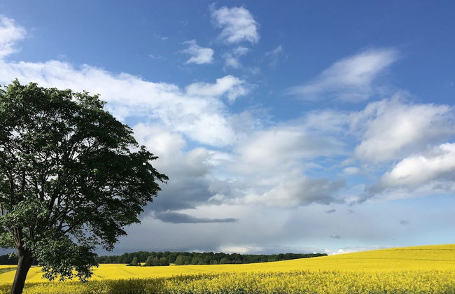 Landurlaub in Lubberstorf - Foto 39