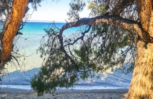 Luxury Apartment in Akti Elias Sithonia - Photo 8