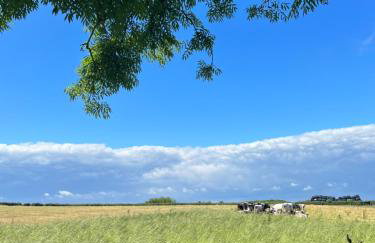 Sunnycott Caravan Park - Foto 22