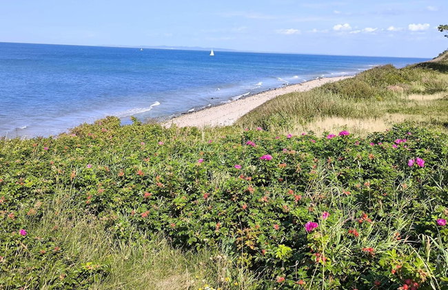 5 Person Holiday Home in Gilleleje - Foto 37