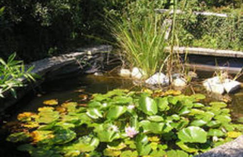 Wohnung in Silbecke mit Garten - Foto 45