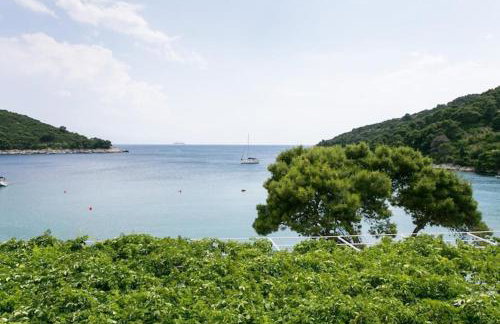 Apartmetns Franka Saplunara-One-Bedroom Apartment with Terrace and Sea View No2 - Foto 6