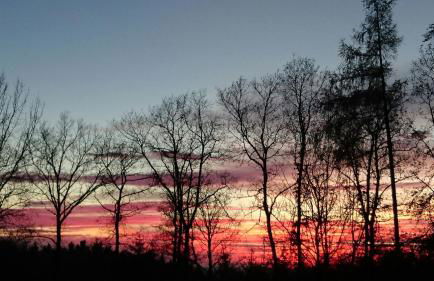 Ferienhaus Freilingen 74 - Photo 26