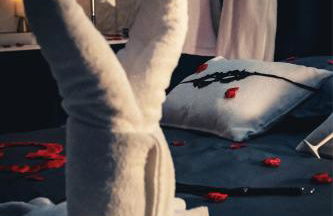 Suite craz'in Love Room, jacuzzi, cinéma, Camargue - Foto 18