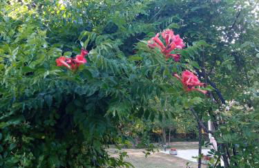 Gîte 2 personnes, proche mer - Foto 16