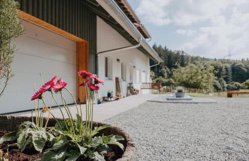 BodenSEE Apartment Neukirch Goppertsweiler HASE - Foto 8