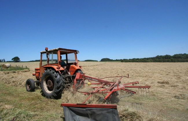 Cozy Cottage in Bastogne - Foto 38