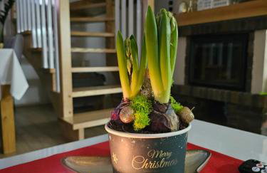 Osada Słoneczny Zdrój - Foto 21