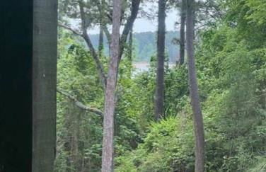 Waterfront house on Sam Rayburn - Sleeps 23! - Photo 18