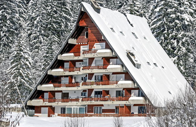 Anémone 2/16 - Foto 2