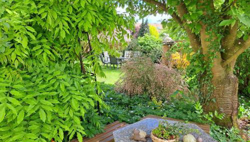 "Zur Alten Schusterei" 98597 Breitungen an der Werra - Foto 4, Garden