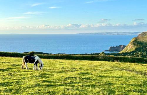 Raddons - Uk50657 - Foto 24