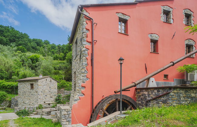 Ciliegiolo - Foto 23