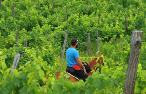 Holiday Home Klen 2 by Interhome - Foto 17