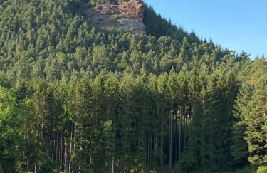 Ferienwohnung Burkhart - Foto 23