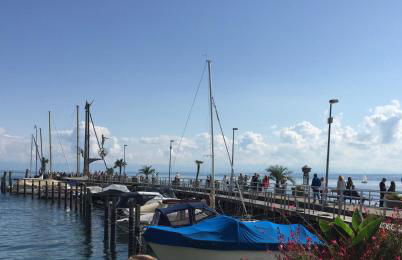 Ferienwohnung Haid Bodensee, Umgebung Bodman-Ludwigshafen, Radolfzell, Überlingen, Luxus FeWo Haid - Foto 16