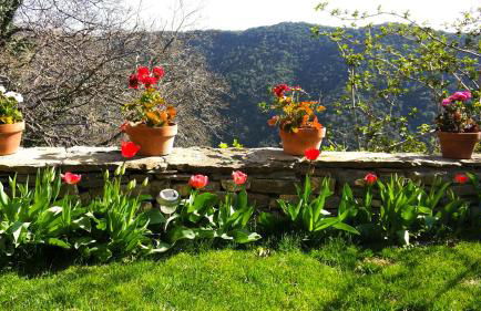 Casa Juez - Photo 10