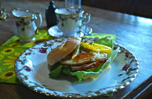 Agroturystyka Smolnikowe Klimaty - Sauna&Jacuzzi - Foto 16