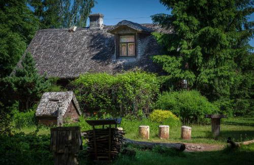 Dom na Podlasiu - Foto 12