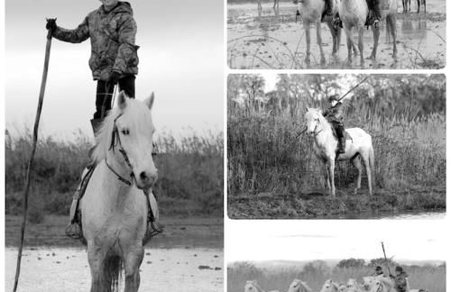 Mas Du Pont Rouge - Foto 6