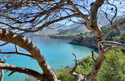 El nido de Betlem - Foto 26