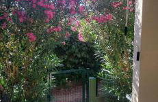 Whole house Ariela, 20m to the beach, has a barbecue, 2 terraces - Foto 4