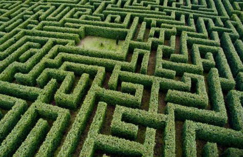 Camino del Soplao -zona Santillana del Mar- - Foto 22