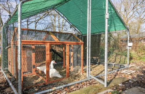 Little Malory - Foto 23