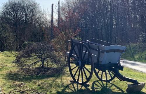 La Petite Ecurie - Foto 41