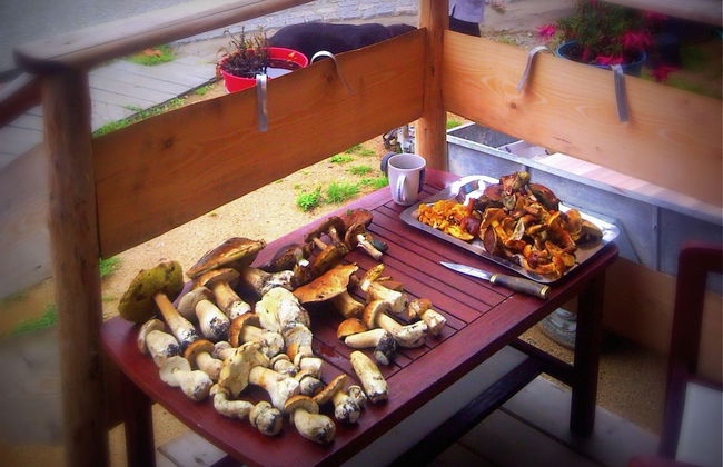 Agroturystyka Dom z Bali - Foto 59