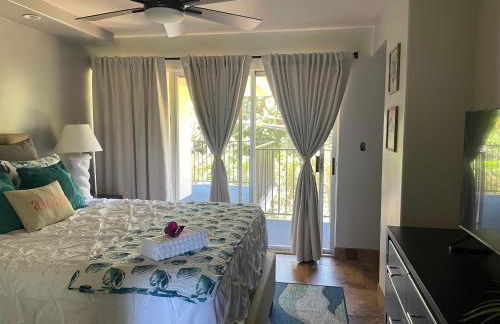 Whale Watching from the Lanai - Oceanfront Condo in West Maui - Foto 33