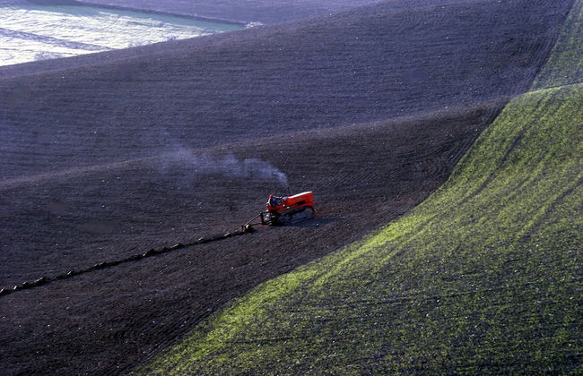 Sant'Apollinare - Foto 28
