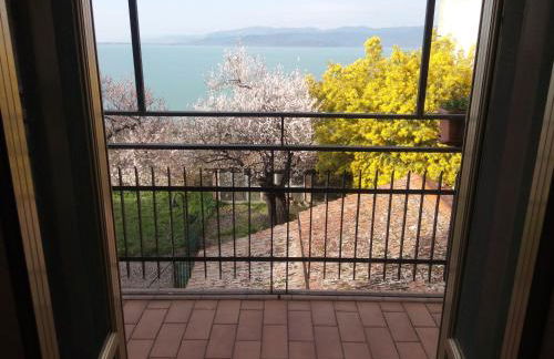 Ascanio Appartamenti - Foto 3