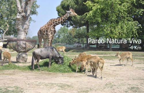 Agriturismo Terra E Sole - Foto 39