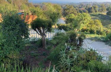 30 PCT OFF! Malibu Charming Suite, Ocean View, King Bed - Foto 40