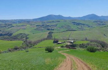 Taverna Centomani - Photo 48