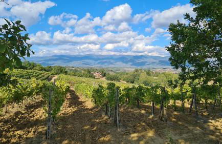 Casa Colonica - Foto 45