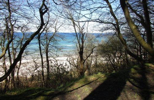 FeWo-Solveig - Foto 17